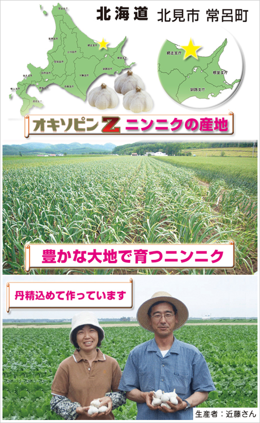 オキソピンZの産地